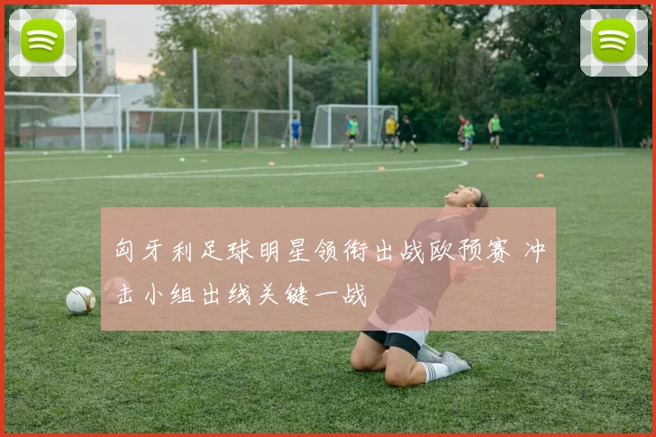 匈牙利足球明星领衔出战欧预赛 冲击小组出线关键一战