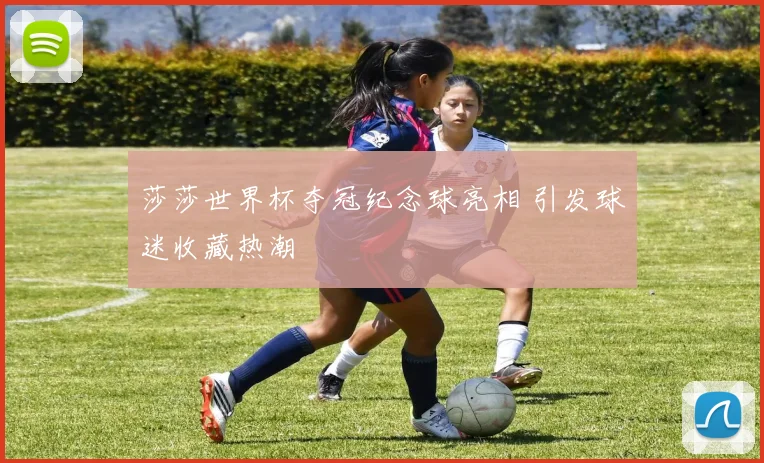 莎莎世界杯夺冠纪念球亮相 引发球迷收藏热潮