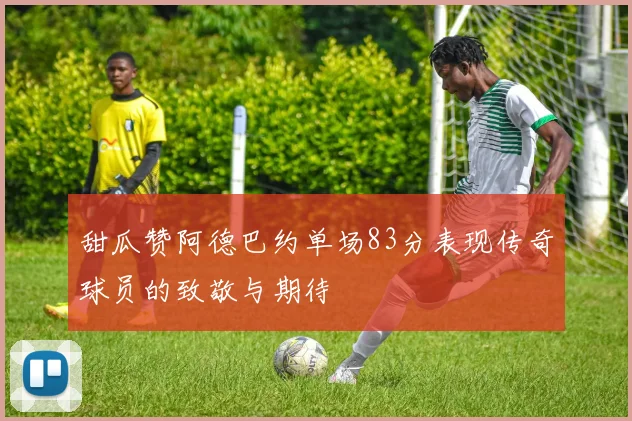 甜瓜赞阿德巴约单场83分表现传奇球员的致敬与期待